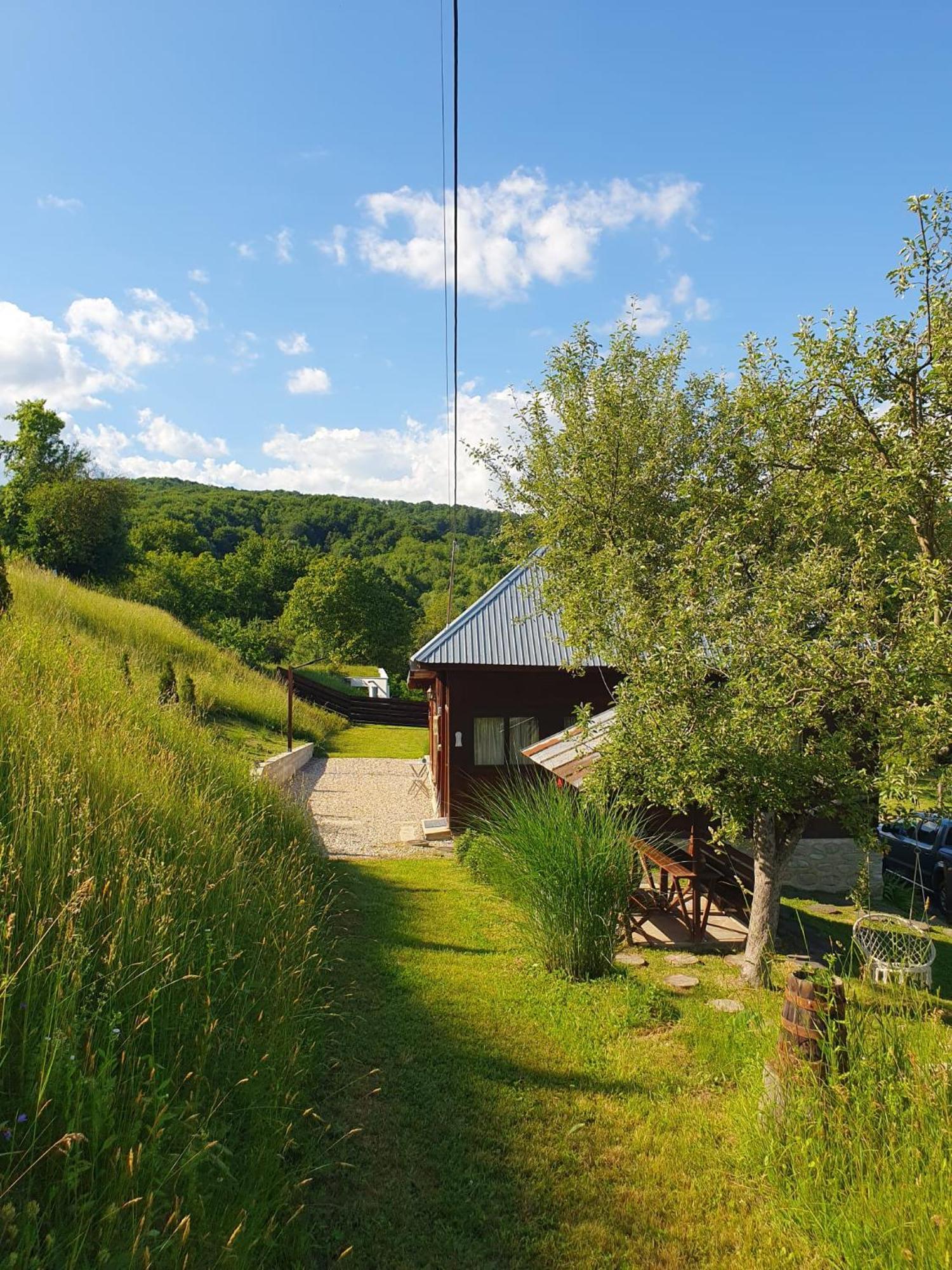 Cabana Valea Lui Mas Robaia Exterior foto