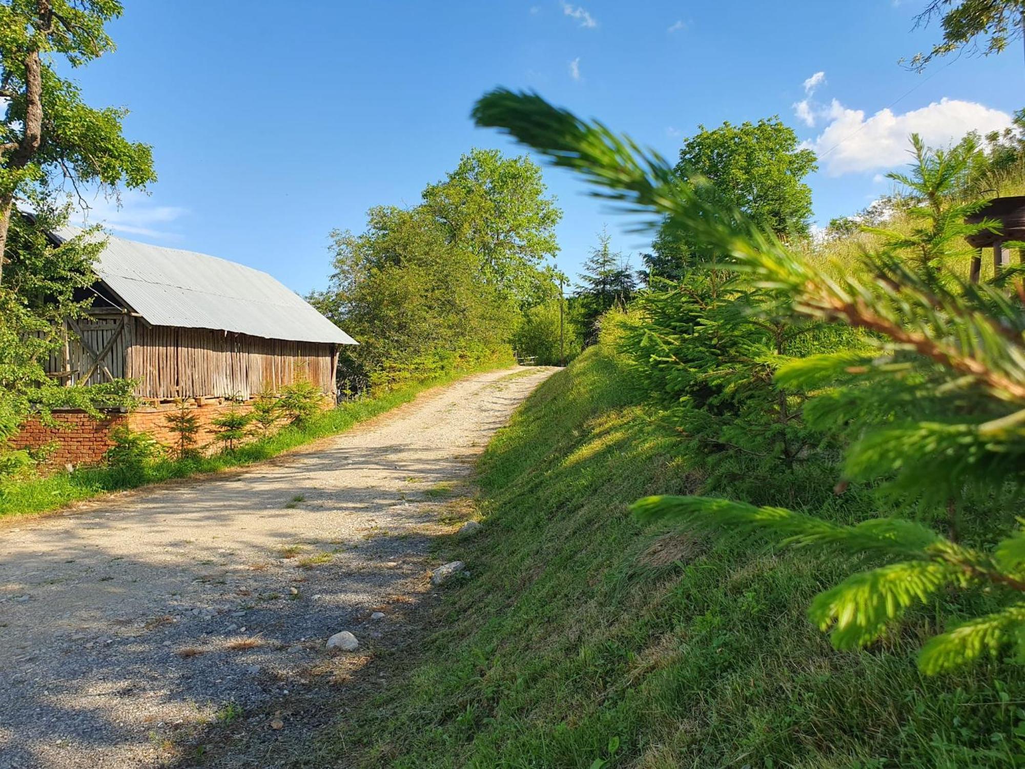Cabana Valea Lui Mas Robaia Exterior foto