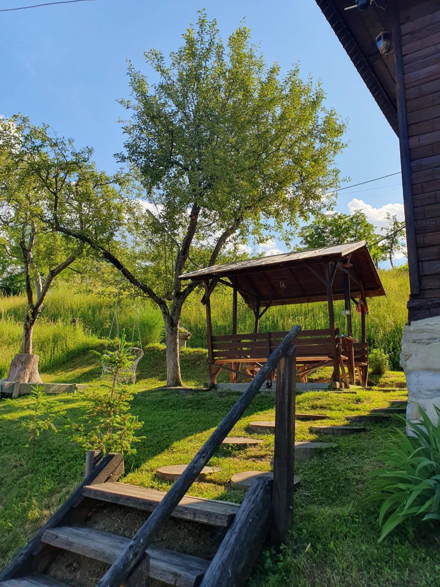 Cabana Valea Lui Mas Robaia Exterior foto
